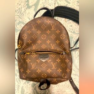 COPY - Louis Vuitton monogram Palm Springs pm backpack